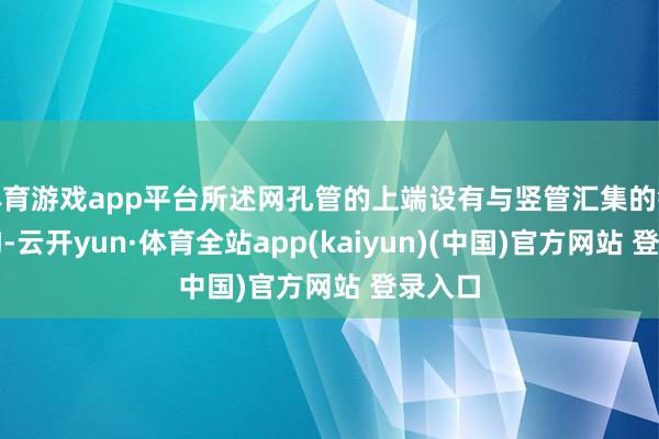 体育游戏app平台所述网孔管的上端设有与竖管汇集的锁紧机构-云开yun·体育全站app(kaiyun)(中国)官方网站 登录入口