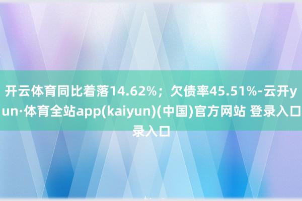 开云体育同比着落14.62%；欠债率45.51%-云开yun·体育全站app(kaiyun)(中国)官方网站 登录入口