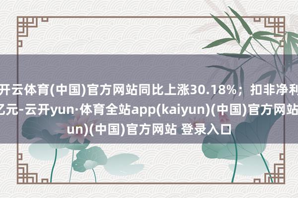 开云体育(中国)官方网站同比上涨30.18%；扣非净利润-3.02亿元-云开yun·体育全站app(kaiyun)(中国)官方网站 登录入口