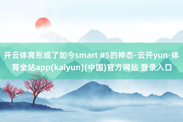 开云体育形成了如今smart #5的神态-云开yun·体育全站app(kaiyun)(中国)官方网站 登录入口