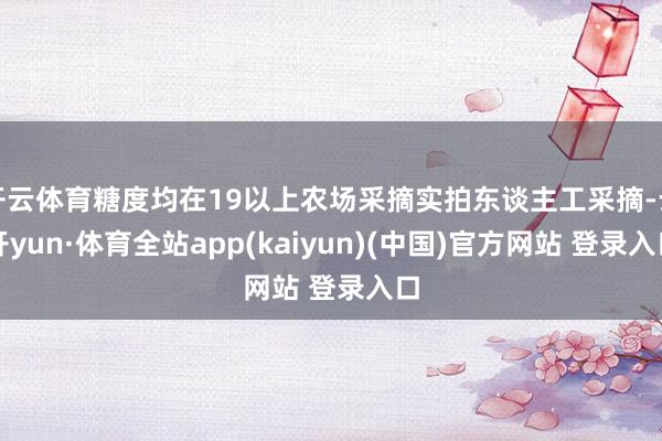 开云体育糖度均在19以上农场采摘实拍东谈主工采摘-云开yun·体育全站app(kaiyun)(中国)官方网站 登录入口