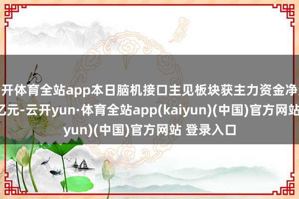 云开体育全站app本日脑机接口主见板块获主力资金净流入10.63亿元-云开yun·体育全站app(kaiyun)(中国)官方网站 登录入口