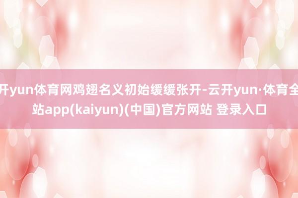 开yun体育网鸡翅名义初始缓缓张开-云开yun·体育全站app(kaiyun)(中国)官方网站 登录入口